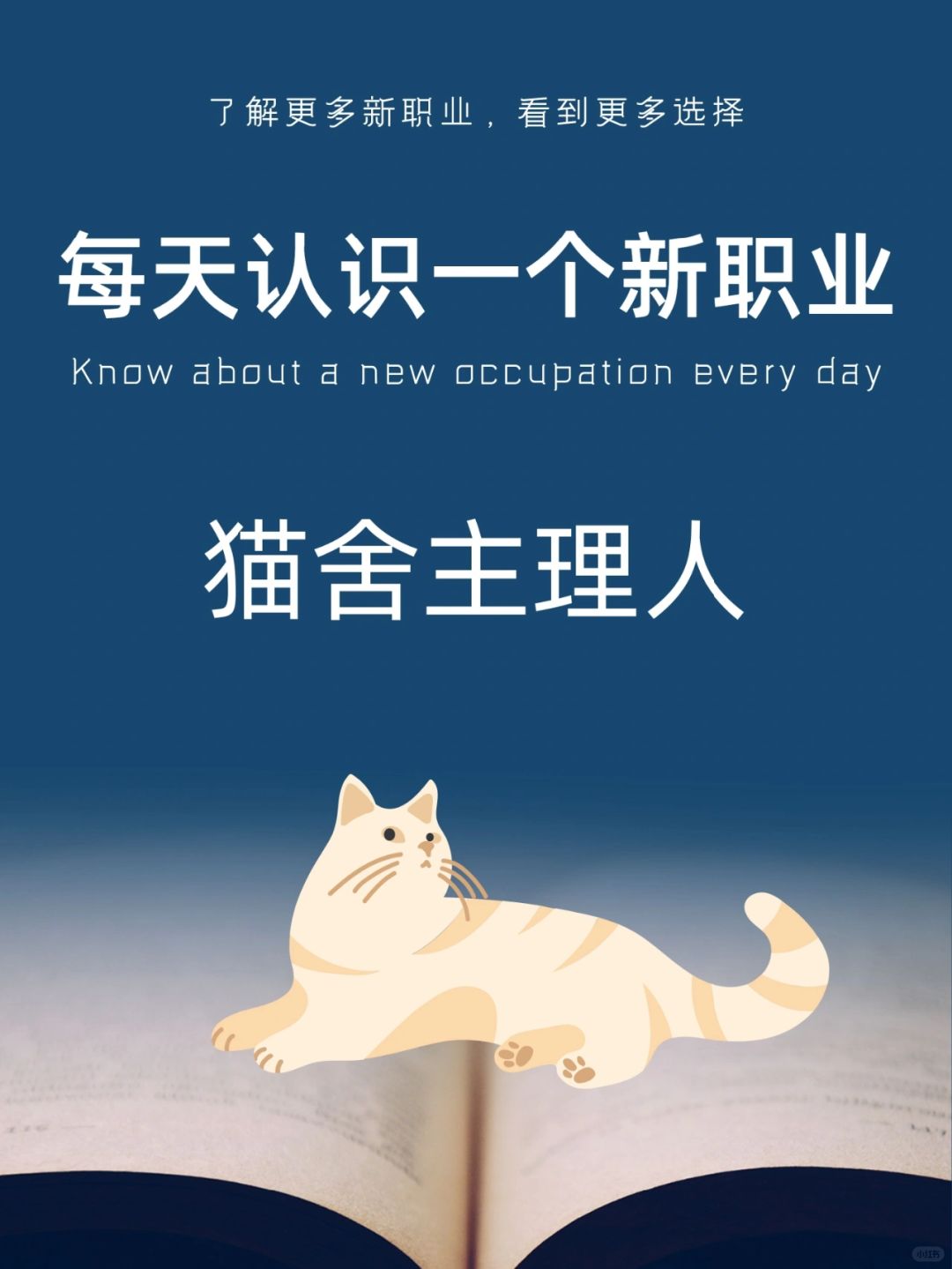 每天认识一个新职业｜猫舍主理人
