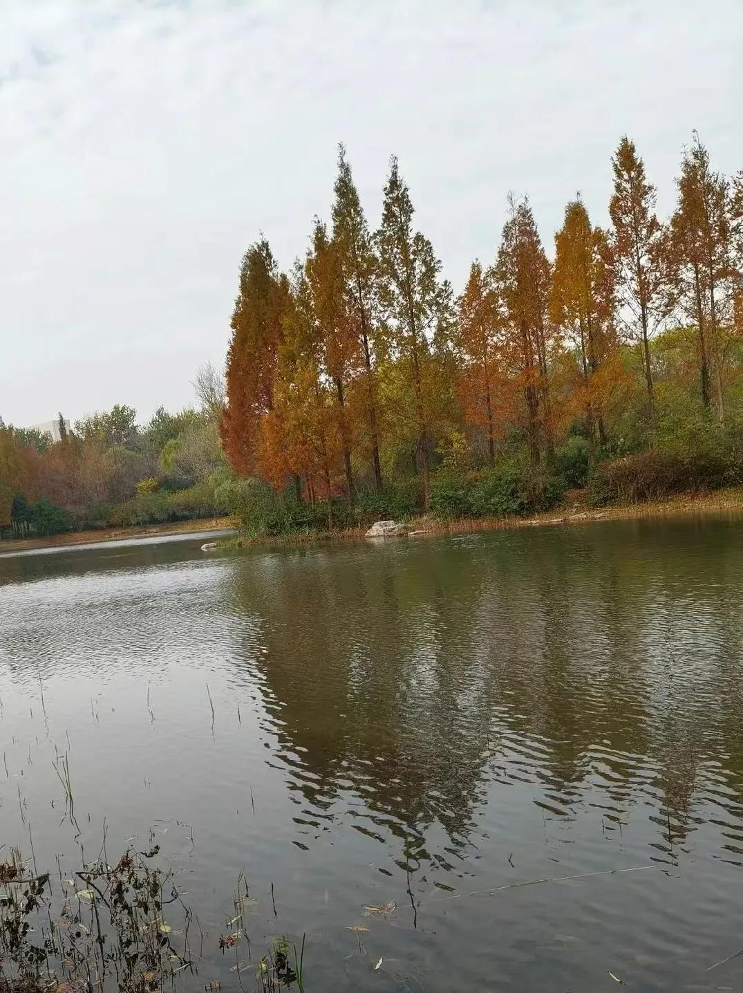 风景的美丽，不在于远近，而在于是否用心去看。