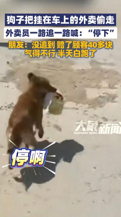 “亏大发了！”9月29日，甘肃兰州，一外卖骑手上楼送餐时将另一份餐挂在车上，没想