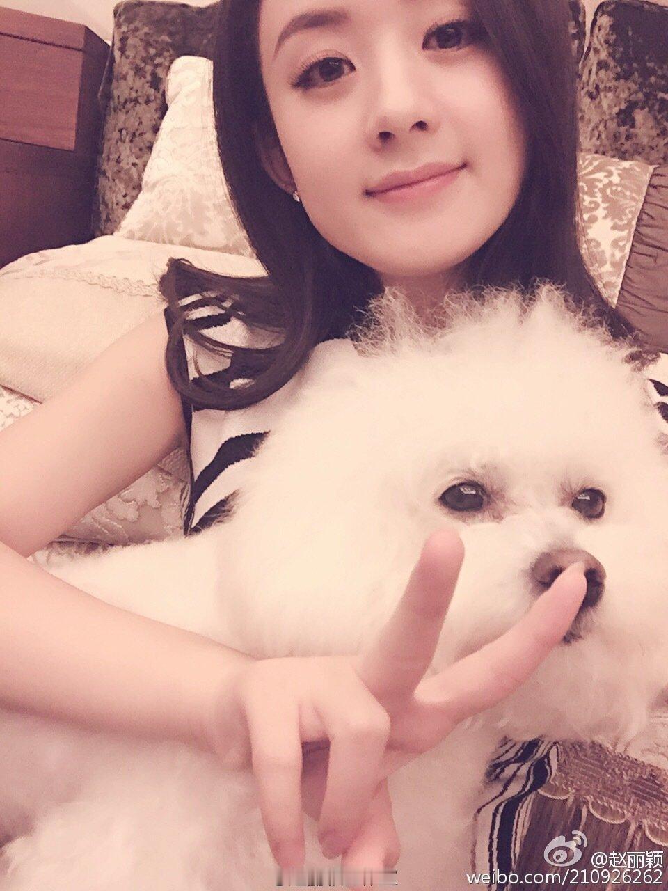 赵丽颖赵丽颖老婆实时号测试 zly曾舜晞带着周翊然去给赵丽颖敬酒 没有预兆 没有