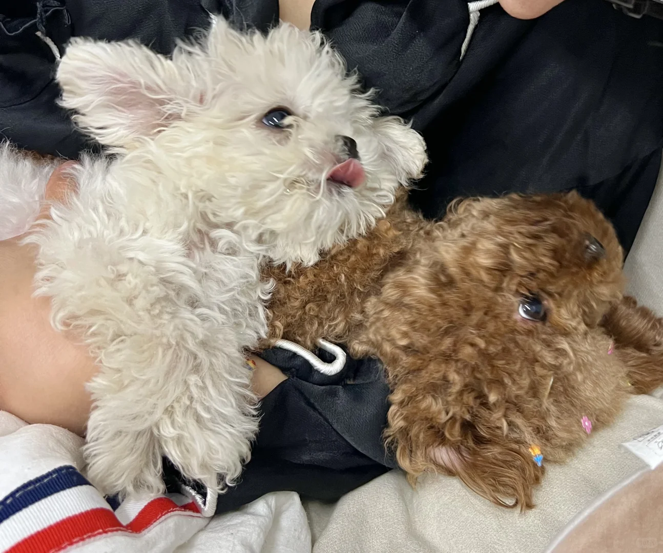可乐：亲近不了一点噢，别给我整这一出！