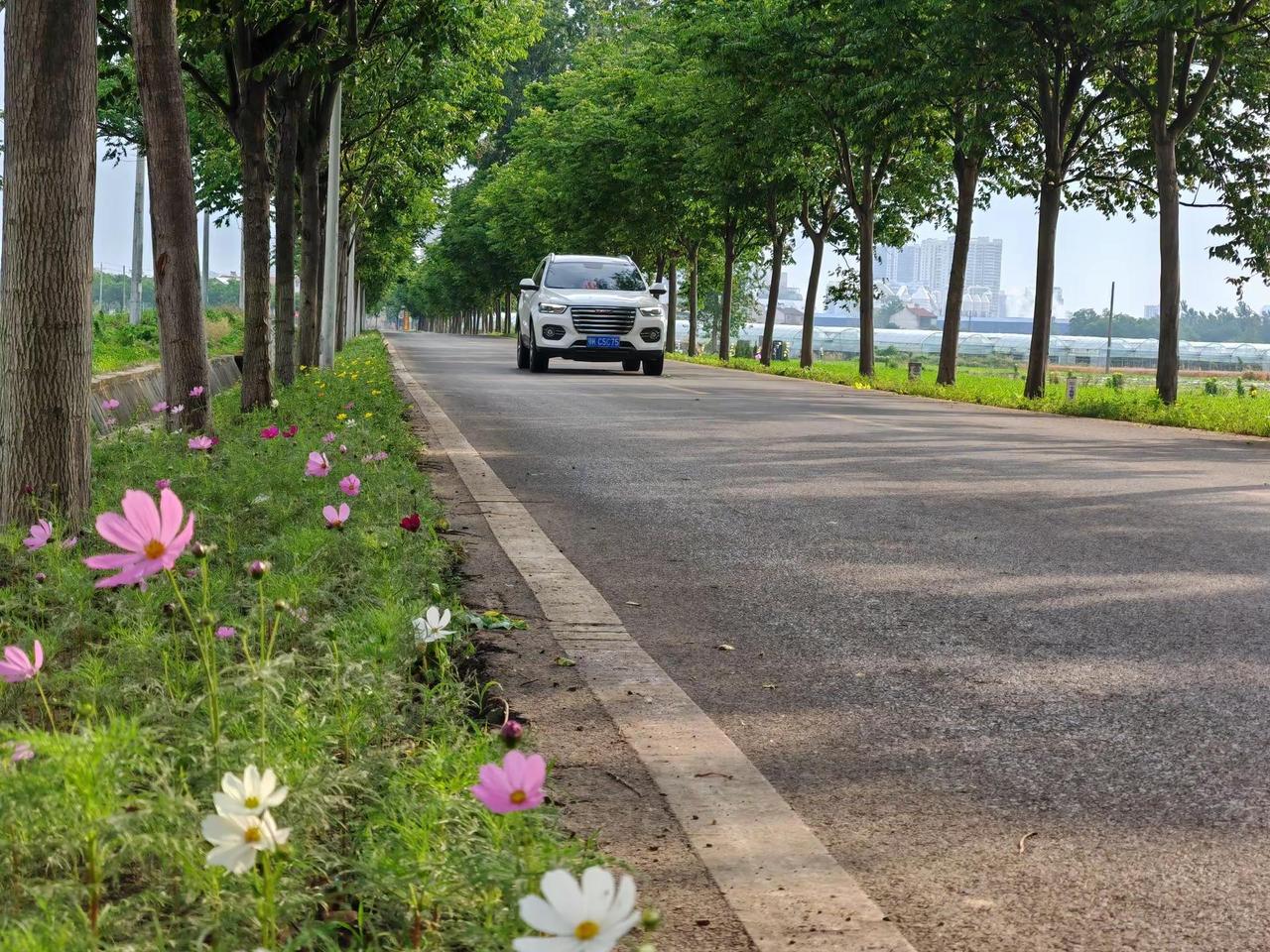 魅力乡村路串联起产业与民生。近年来，云梦县乡村道路建设日新月异，乡村道路成为一道