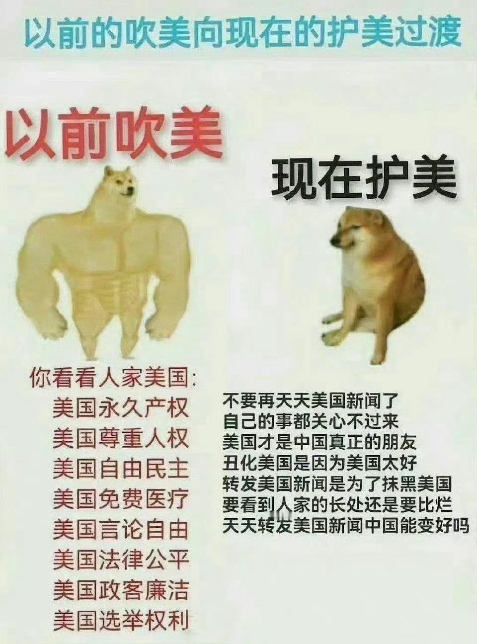 马斯克发现美政府数千亿美元假合同这一看就是假的，公知都说了美国一点腐败没有，你们