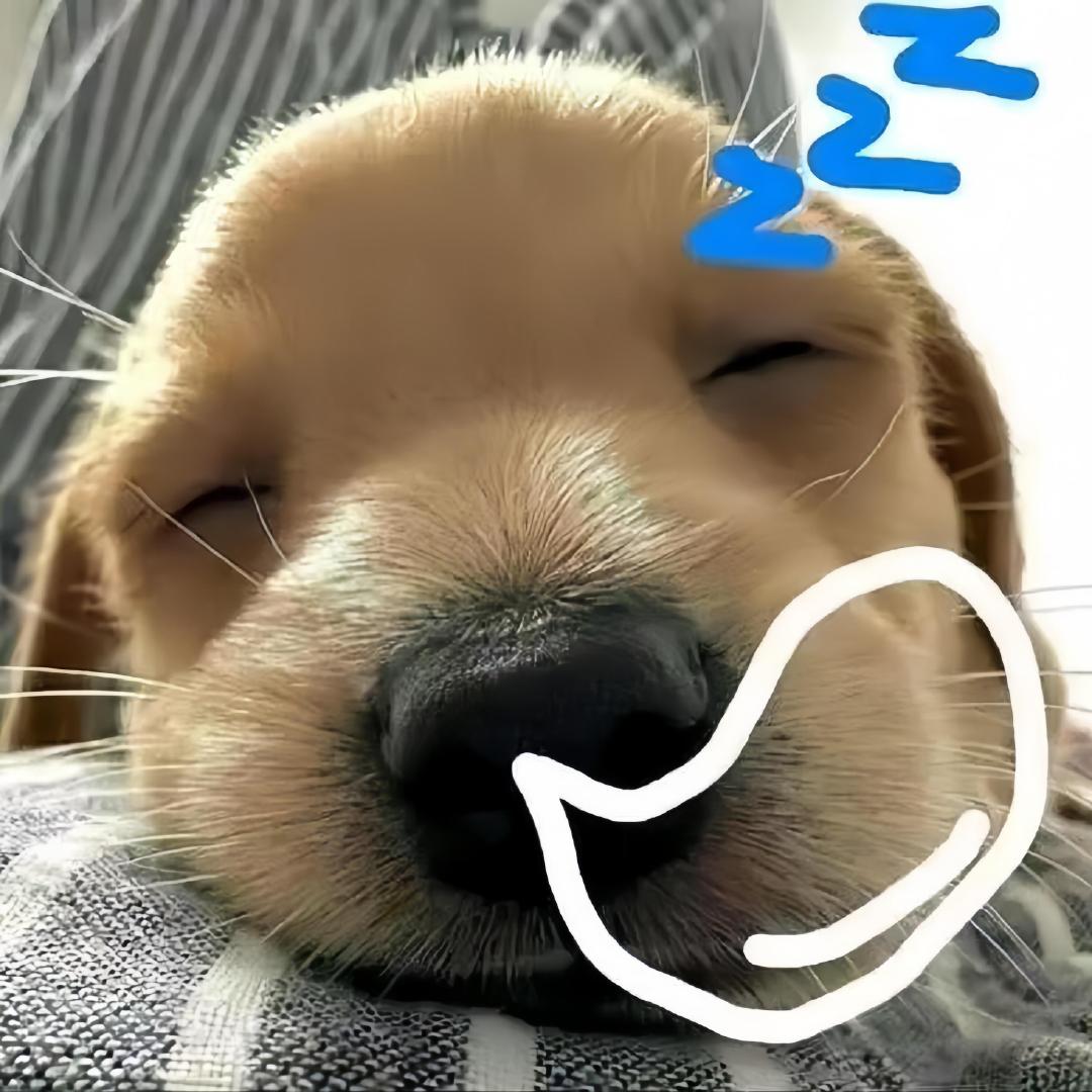 这组用来做WeChat头像也很棒！ ​​​