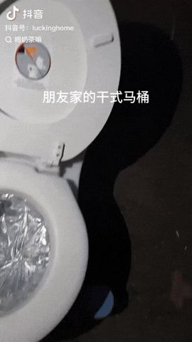 一女子去朋友家做客，突然想上厕所，没想到她看到朋友家用的是干式马桶，愣是没看懂，