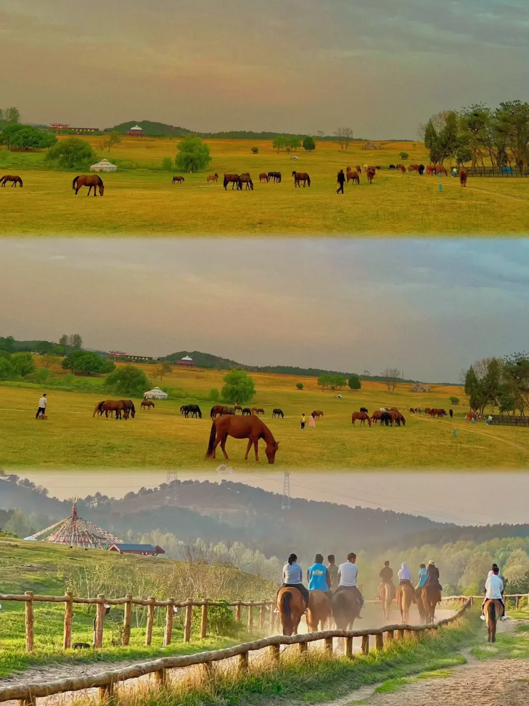 自驾游必看❗️武汉草原一日游省钱攻略来了‼️