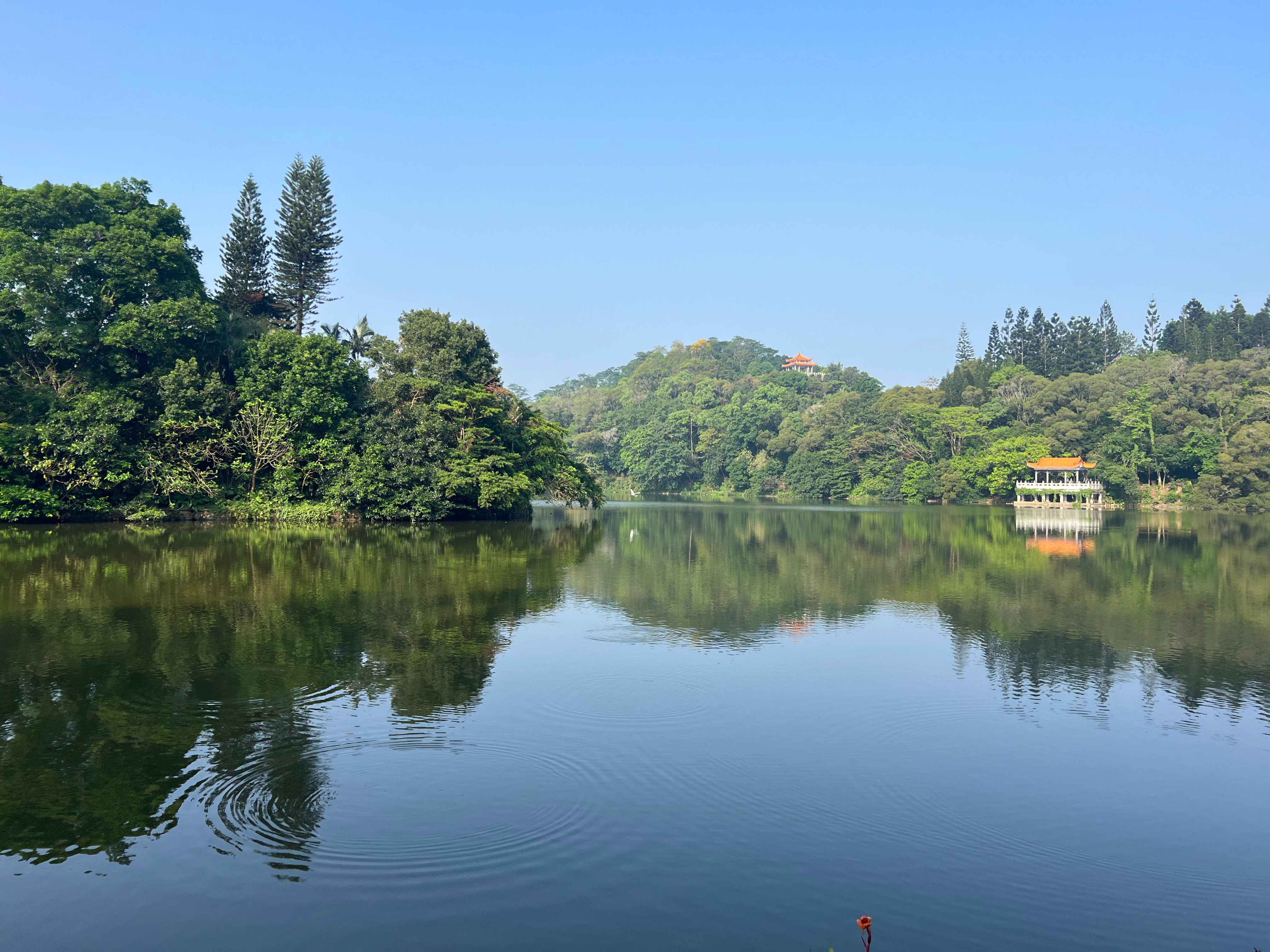 最好的相遇，从来都是，入眼便倾心，入心便珍惜。深圳周末冷空气打累了退场