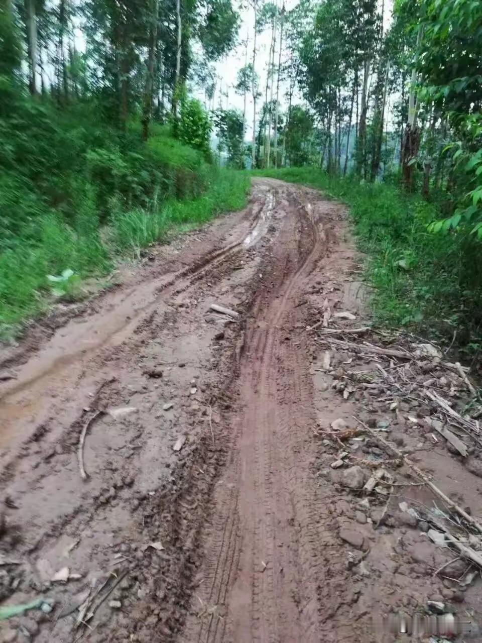 2. 村民众筹30万硬化3公里通村路 10年未动工10人去世：青龙村10组3公里