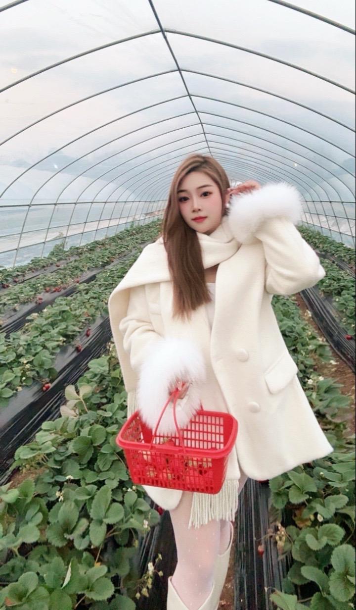 STRAWBERRY🍓 2025拍了你：莓病 莓灾 莓烦恼