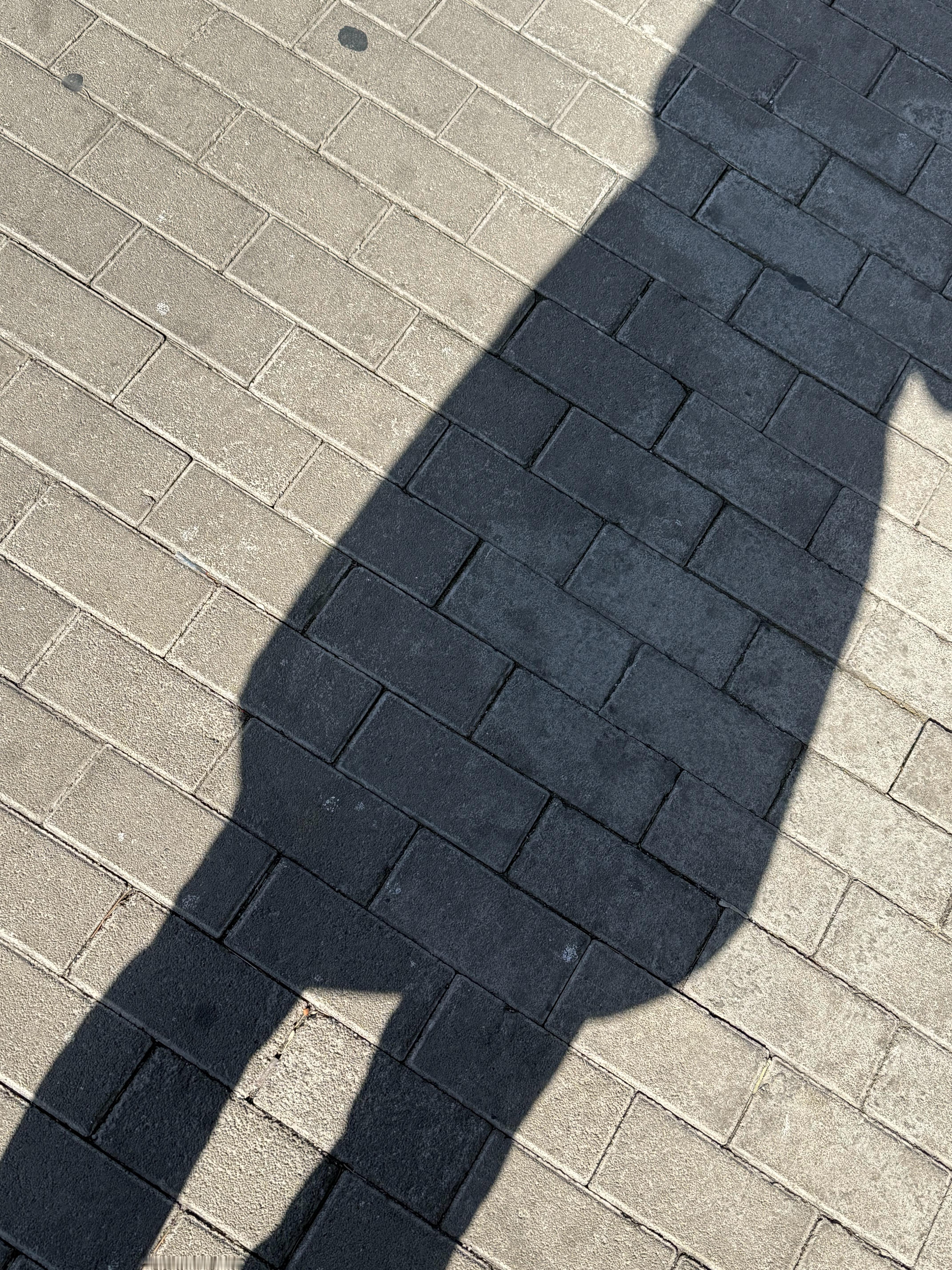 北风那个吹🌬️ 