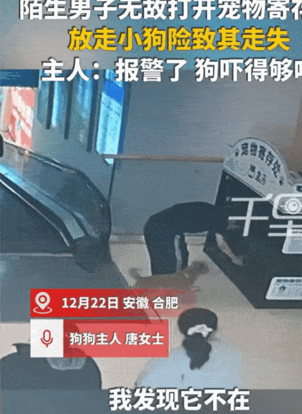12月22日，安徽合肥，一女子将自家狗放在了商场的宠物寄存笼里面，随后离开，没想