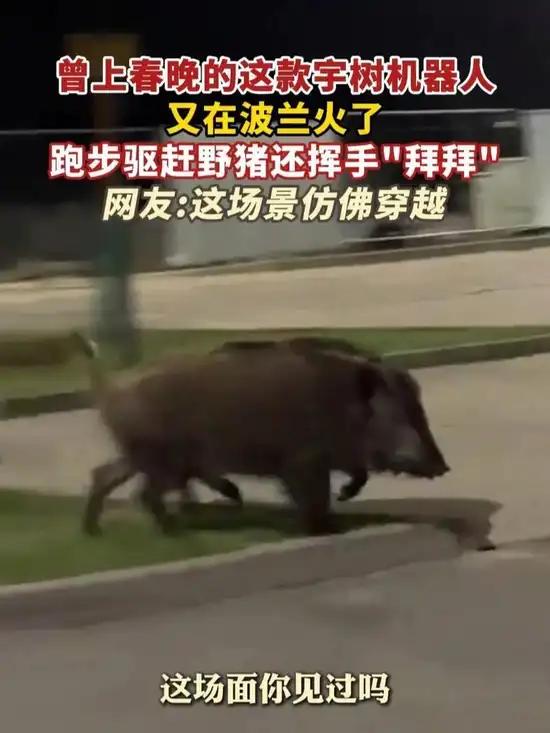 G1可在复杂街道路面自主移动并保持动态平衡，配合实时环境感知算法，能够在不伤害动