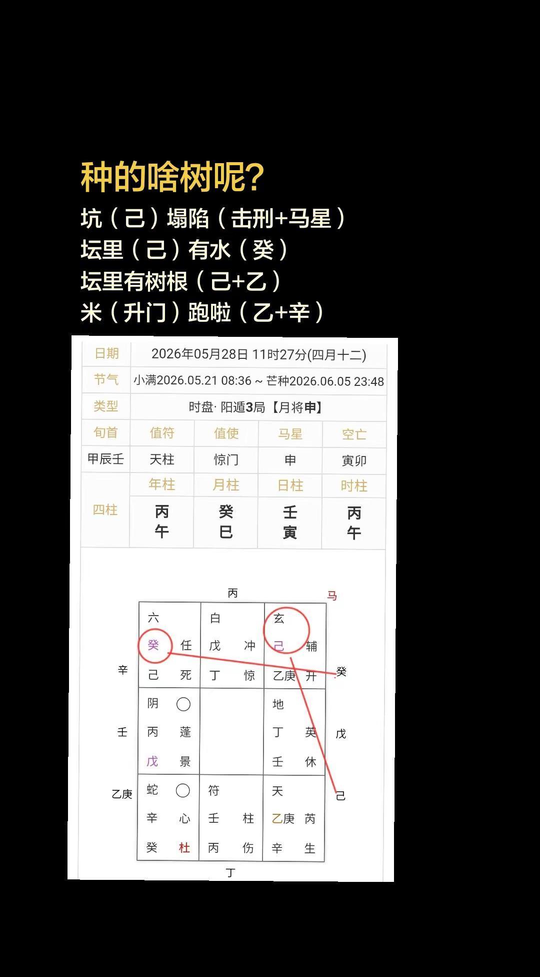 山上种树。