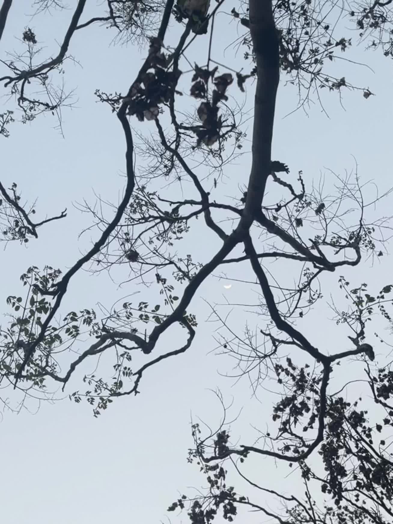 最近顺利吗小大人
