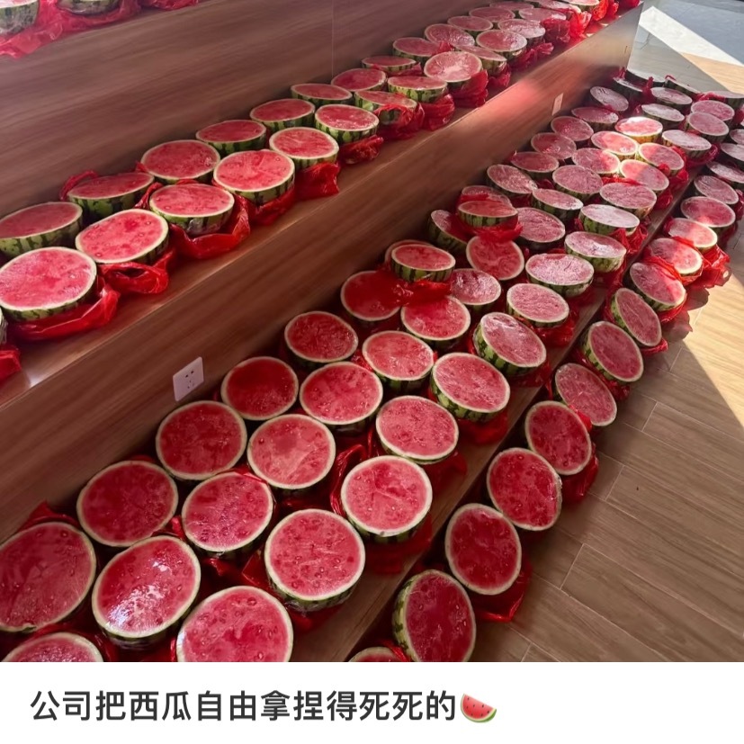 公司下午茶发了半颗西瓜[允悲]职场那些事儿职场生存法则 ​​​