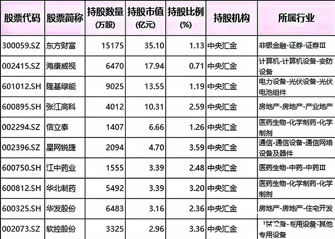 中央汇金和证金公司持有的多只A股股票信息，包括每只股票的：

- 股票代码
- 