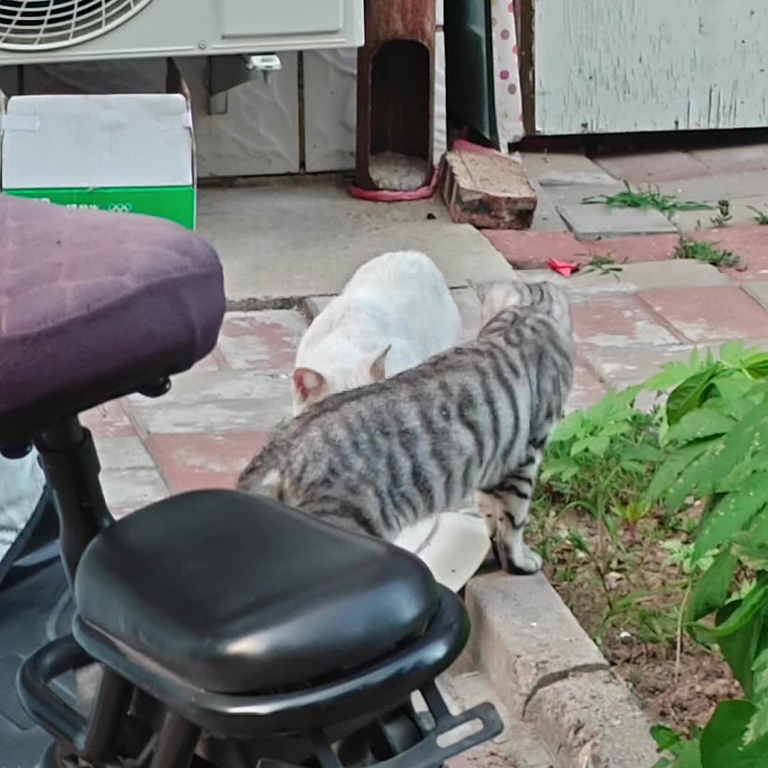 oi！哈哈哈哈哈哈