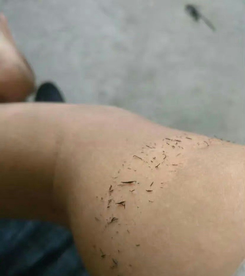 这个在你们那方言叫啥？？？ ​[挖鼻] ​​​