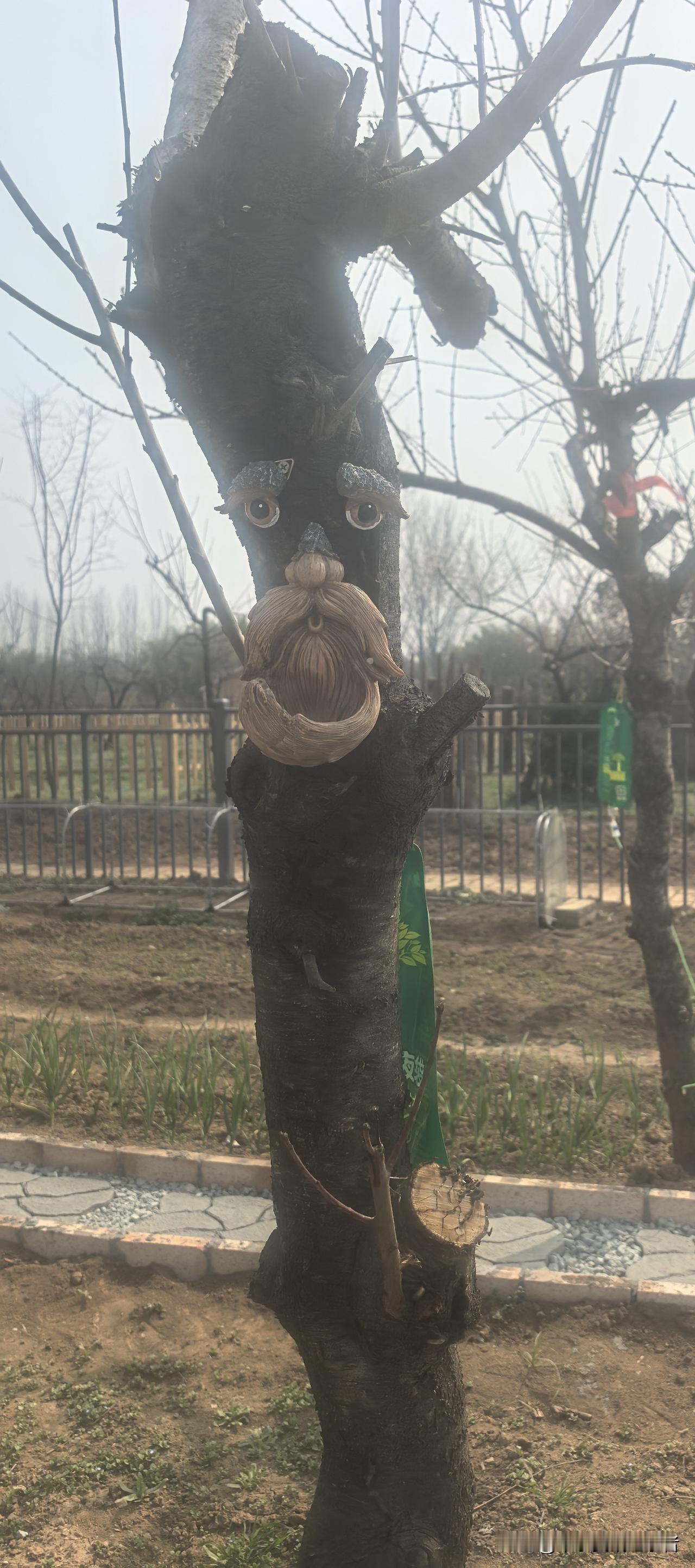 一、少买新衣、吃饭不贪饱，简约聚福，节制延寿。
二、改掉别人问一句，你就说个不停