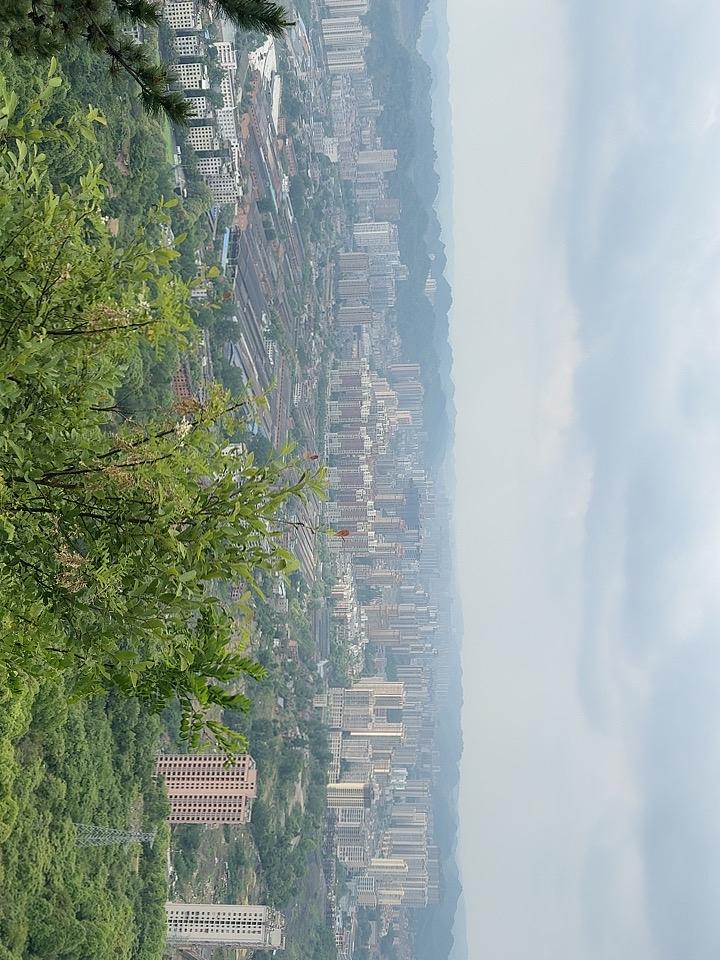 生活最重要的是什么