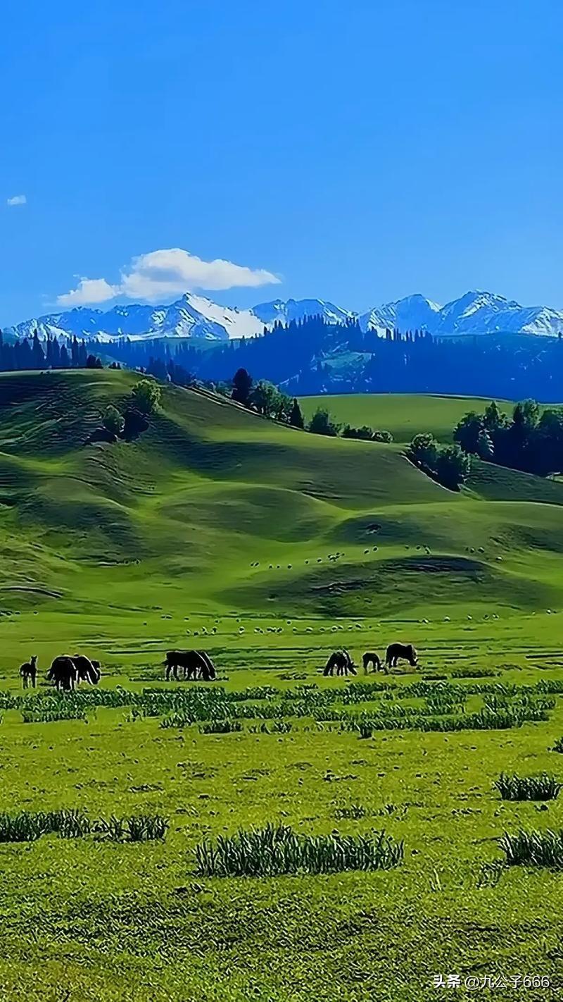 新疆是个好地方，自驾游非常不错，那么，什么季节去最合适呢？

‌5 月至 10 