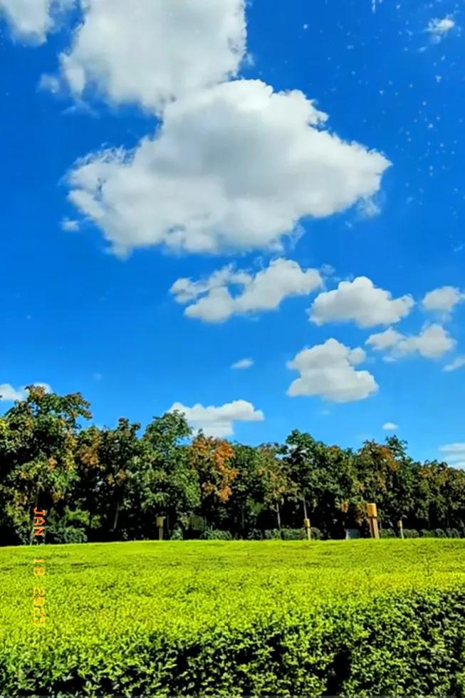 手机拍的天空大片可以有多美 
你知道手机随拍的天空有多美吗？每次出去溜达一圈回来