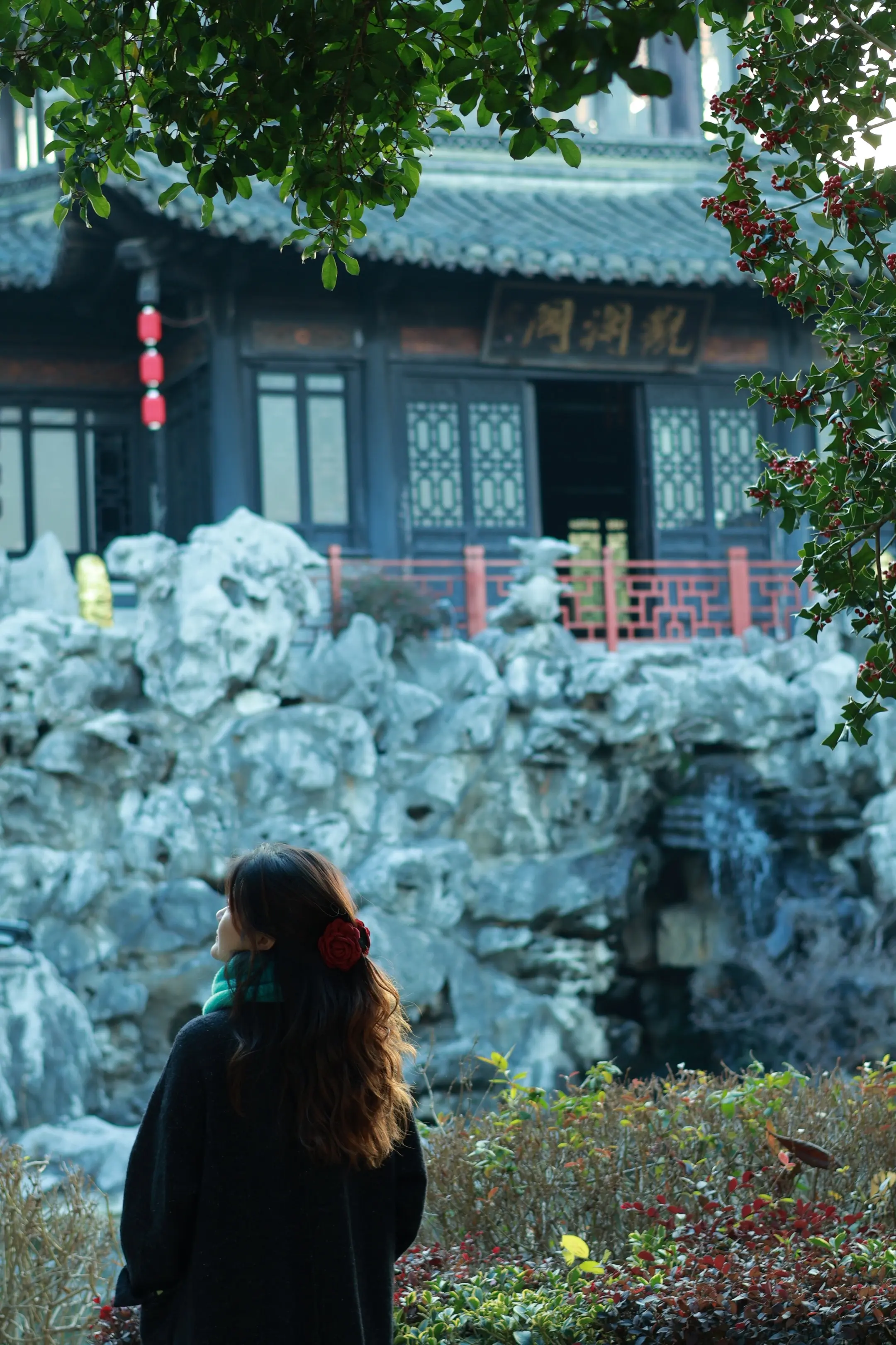 我喜欢粉色玫瑰