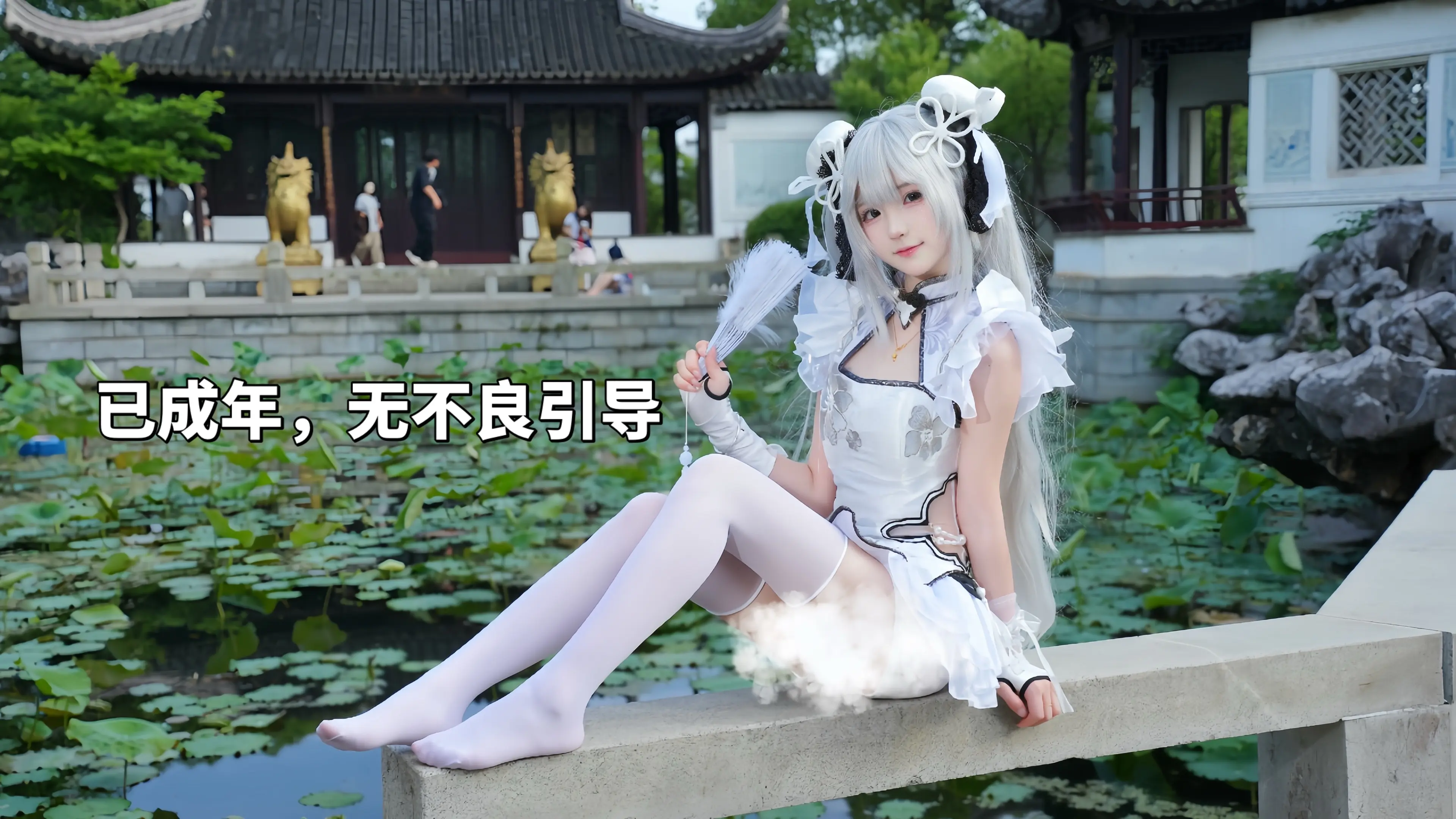 一片冰心
