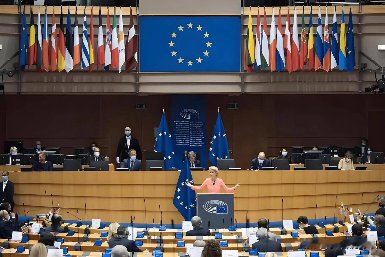 欧盟🇪🇺对中国🇨🇳电动车征收提议通过，以下几人最开心：
第一：法国总统，