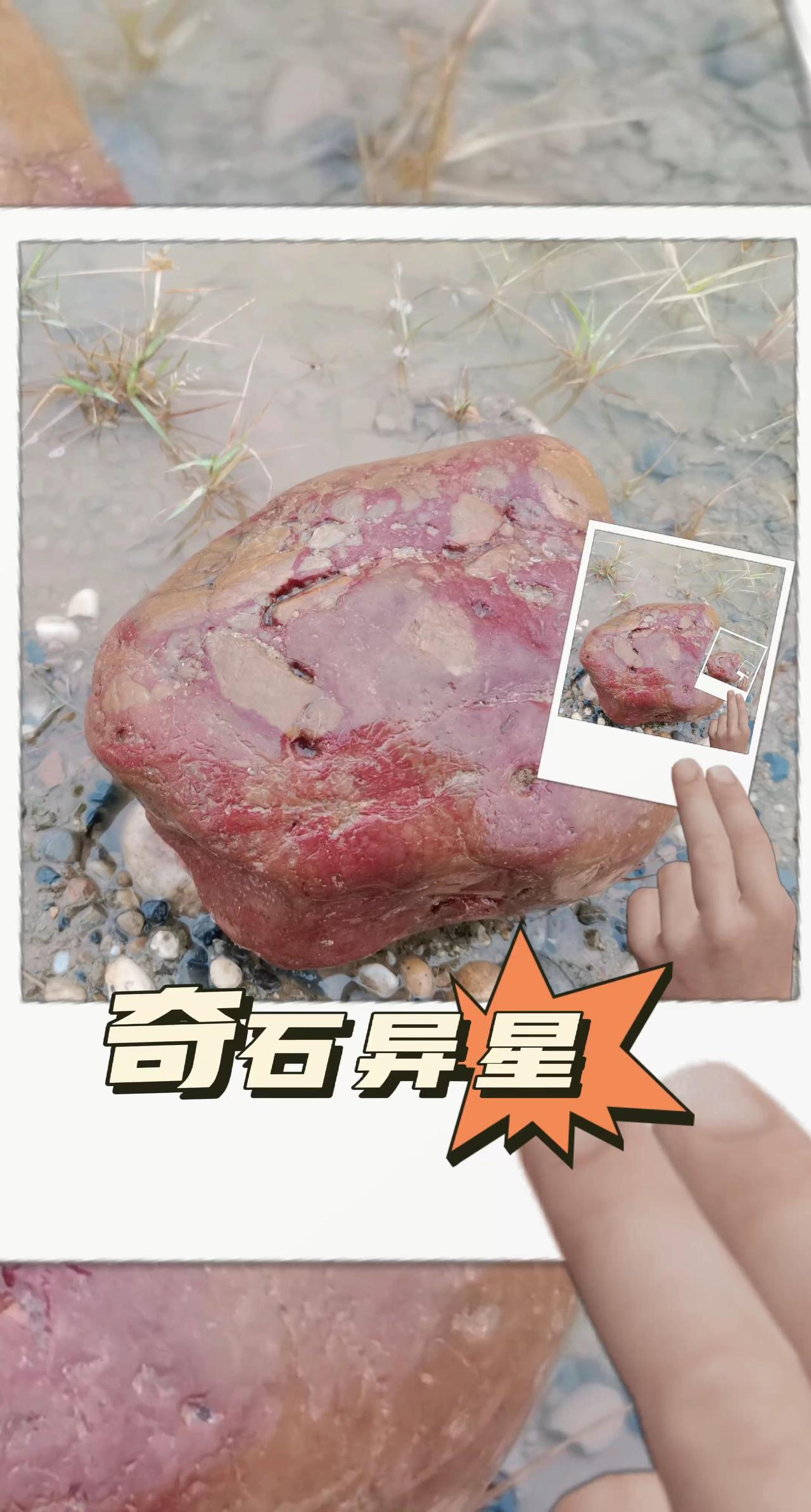 户外捡石石来运转 以石会友
