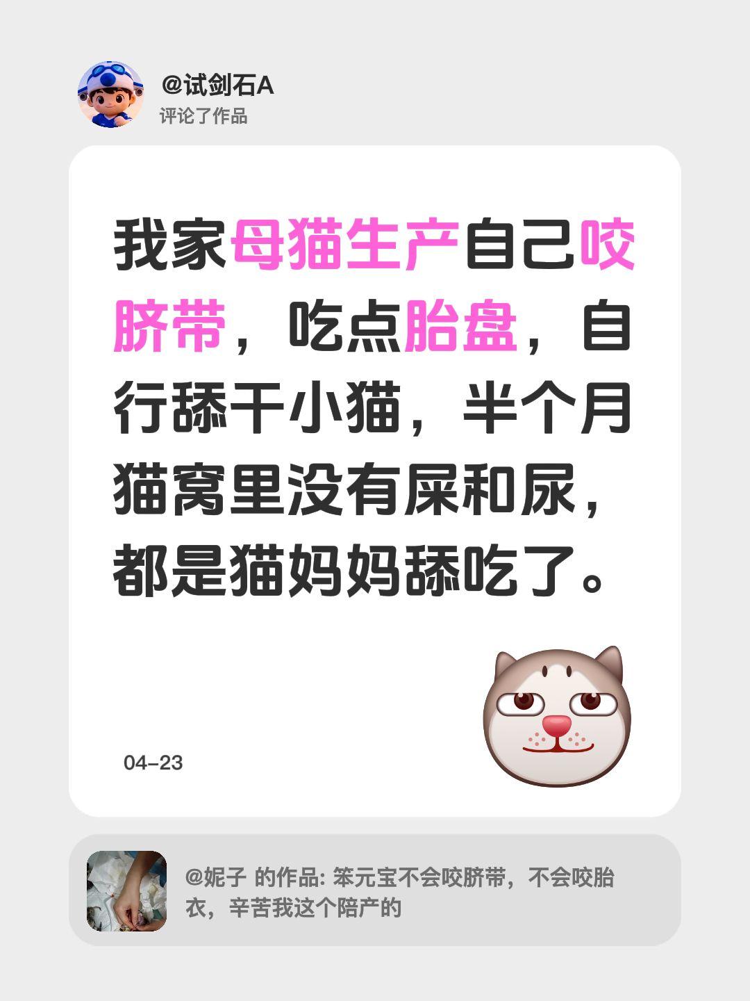 我评论了@妮子 的作品：
我家母猫生产自己咬脐带，吃点胎盘，自行舔干小猫，半个月