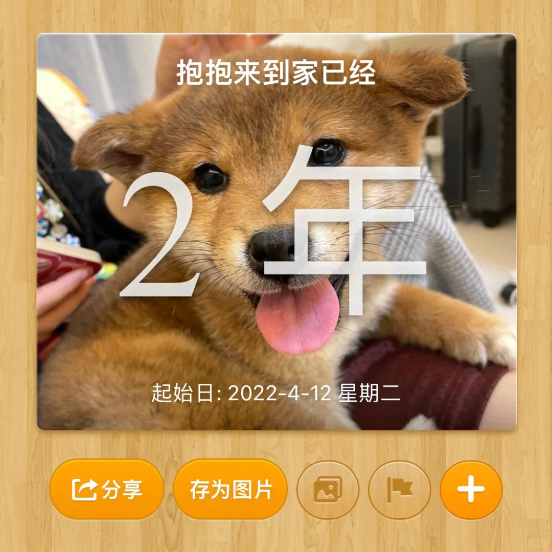 狗好人坏｜谢谢你来到我的生命里