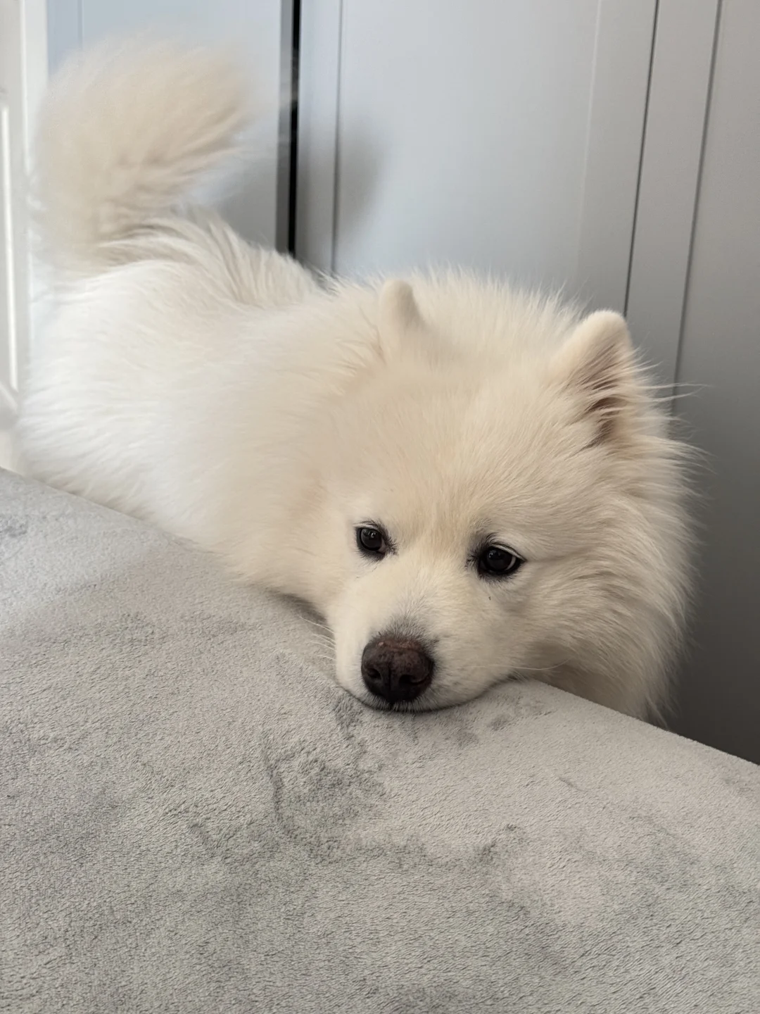 孩子6岁了还不会说话