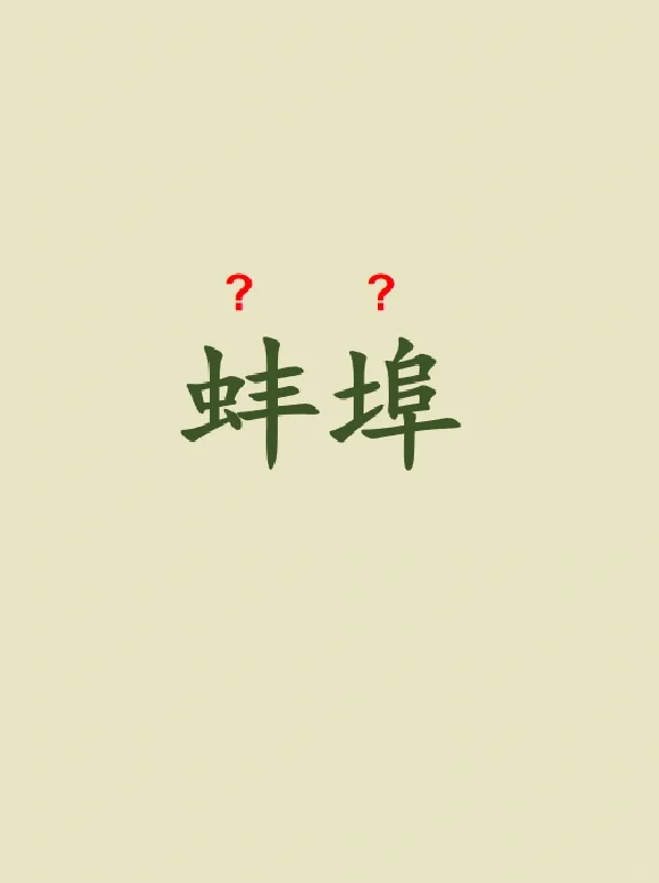 今天来学习——蚌埠