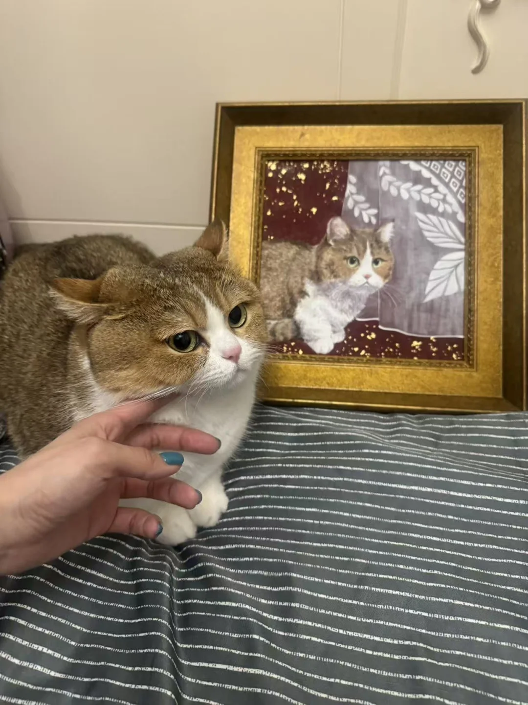 画了一个旺财小朋友