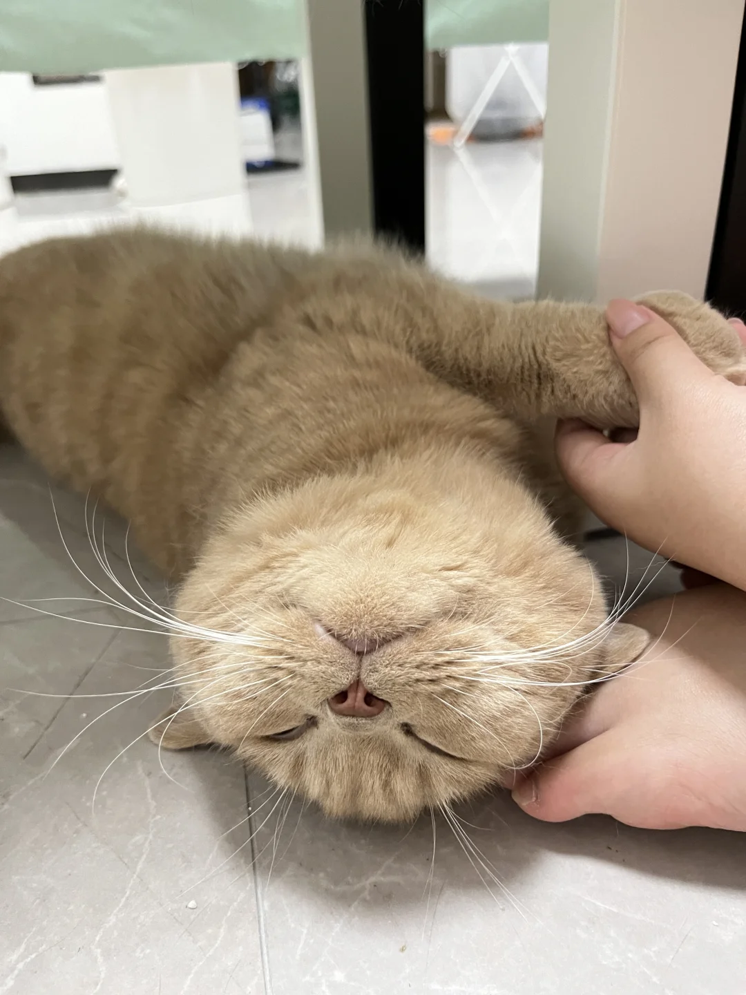 啊这。😧