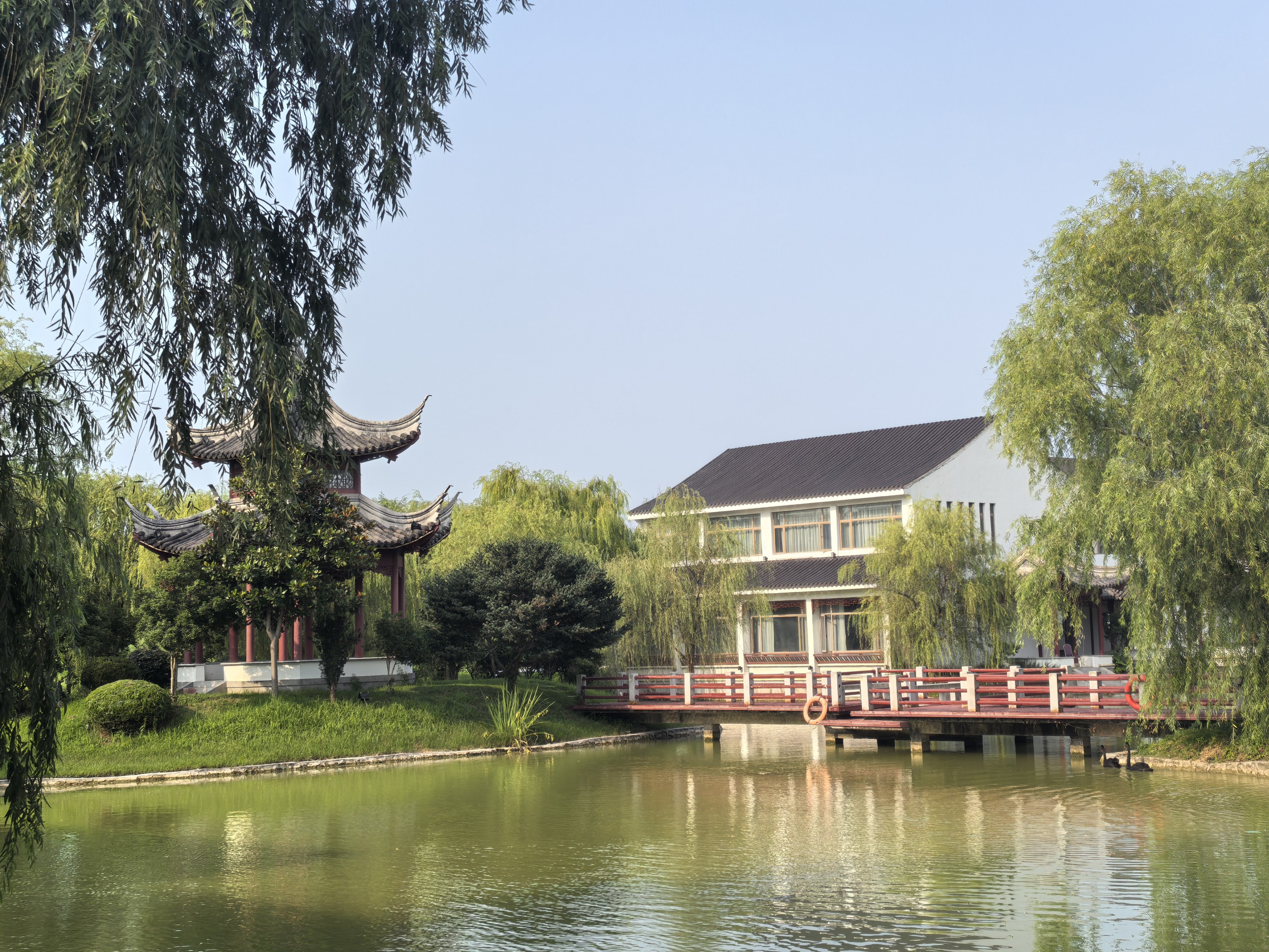 这个酒店它的大门口...有个...巨大的弥勒佛...里面有好多庭院造景~我蹲这看