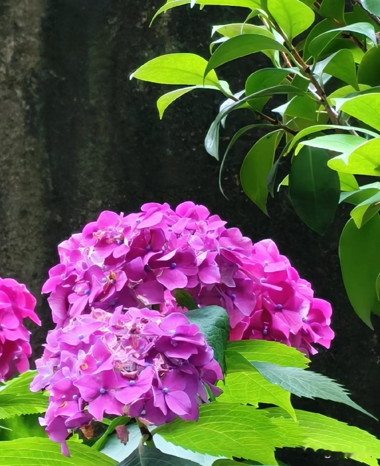 有段话很通透：
“不要去管任何人，即便是有血缘关系的亲人，也不要管，几十年形成的
