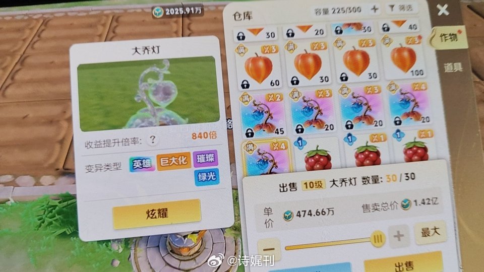 枇杷不出30倍但是大乔又出惹840 