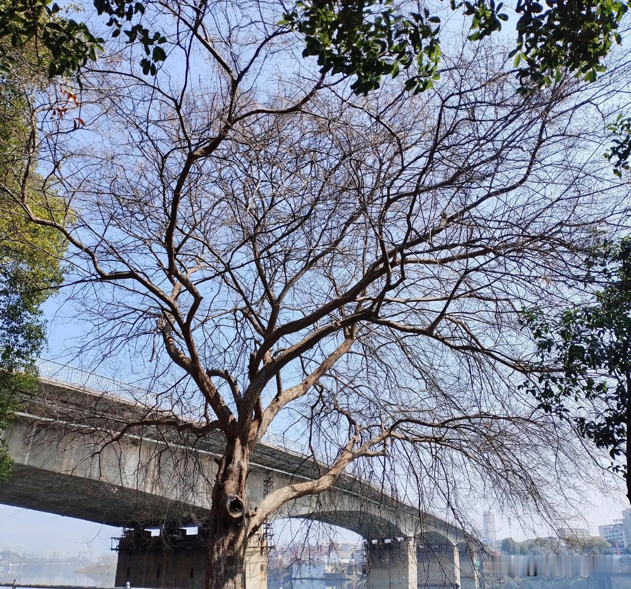 七零后半生自省·透彻走心版
 
生于七十年代，半生风雨走完，才惊觉岁月从不会为谁
