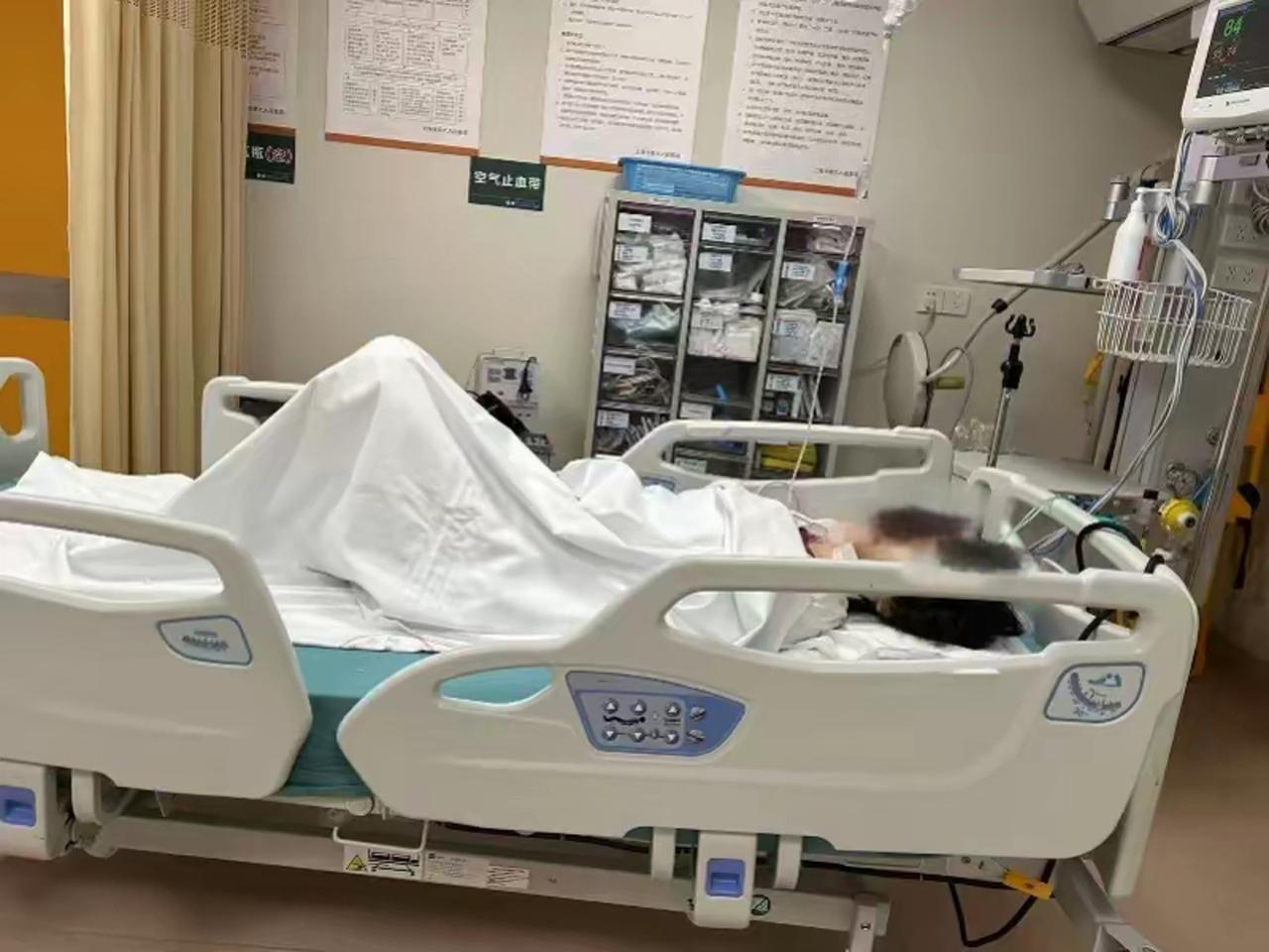 【上海反虐猫志愿者遭开盒网暴后轻生，周兆成：观点不同可以辩论，人肉开盒绝不是自由