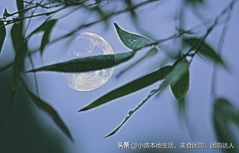 看到“竹影清风摇月色”这个上联，瞬间来了兴致。这上联描绘出一幅清幽雅致的画面，竹