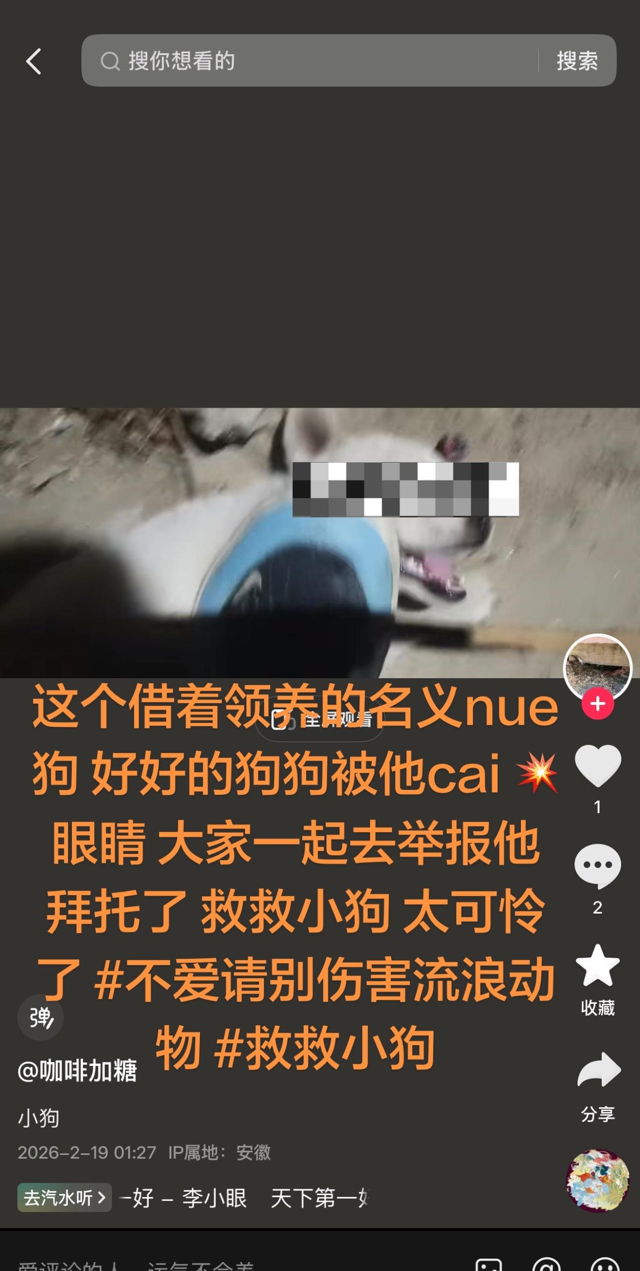 大半夜刷刷到这个太心痛了 小狗好可怜 我举报了 但我一个人举报肯定不成...