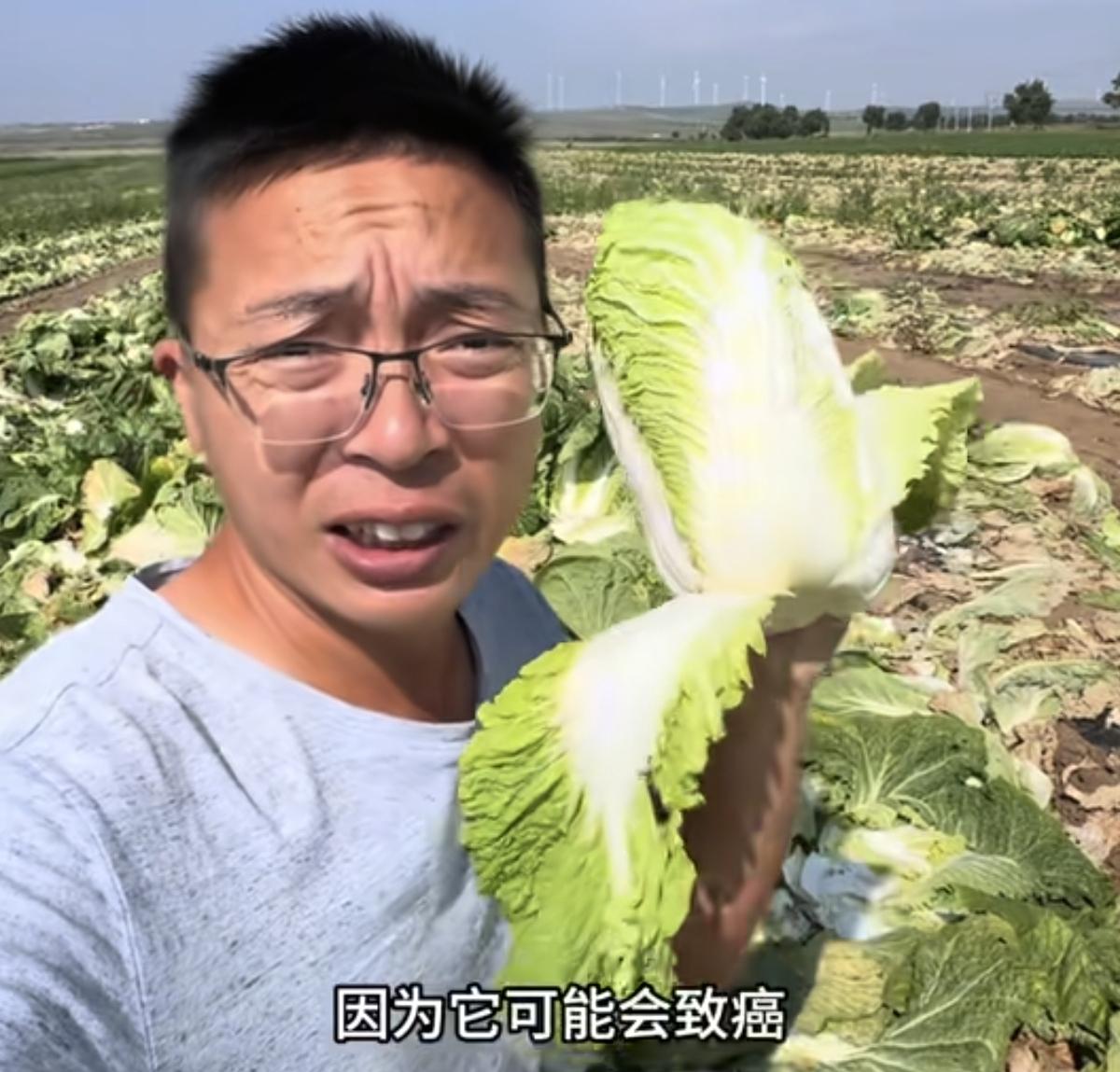 曝光“甲醛白菜”这个博主是个狠人，两个月的蹲点，分四步，一步一步闭环。
第一步，