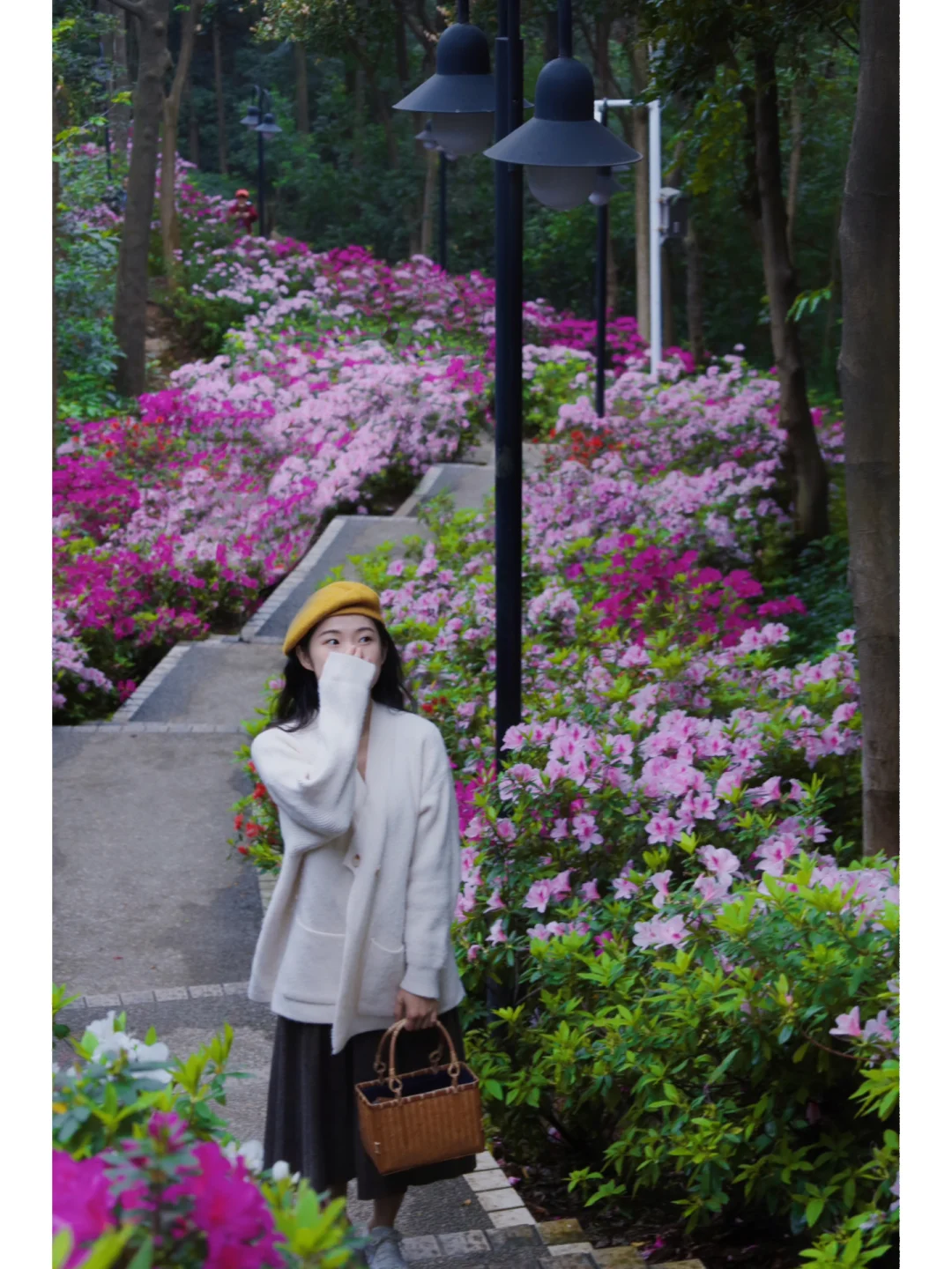 真的好浪漫！梦幻森系花海就在广州市区🌳🌸