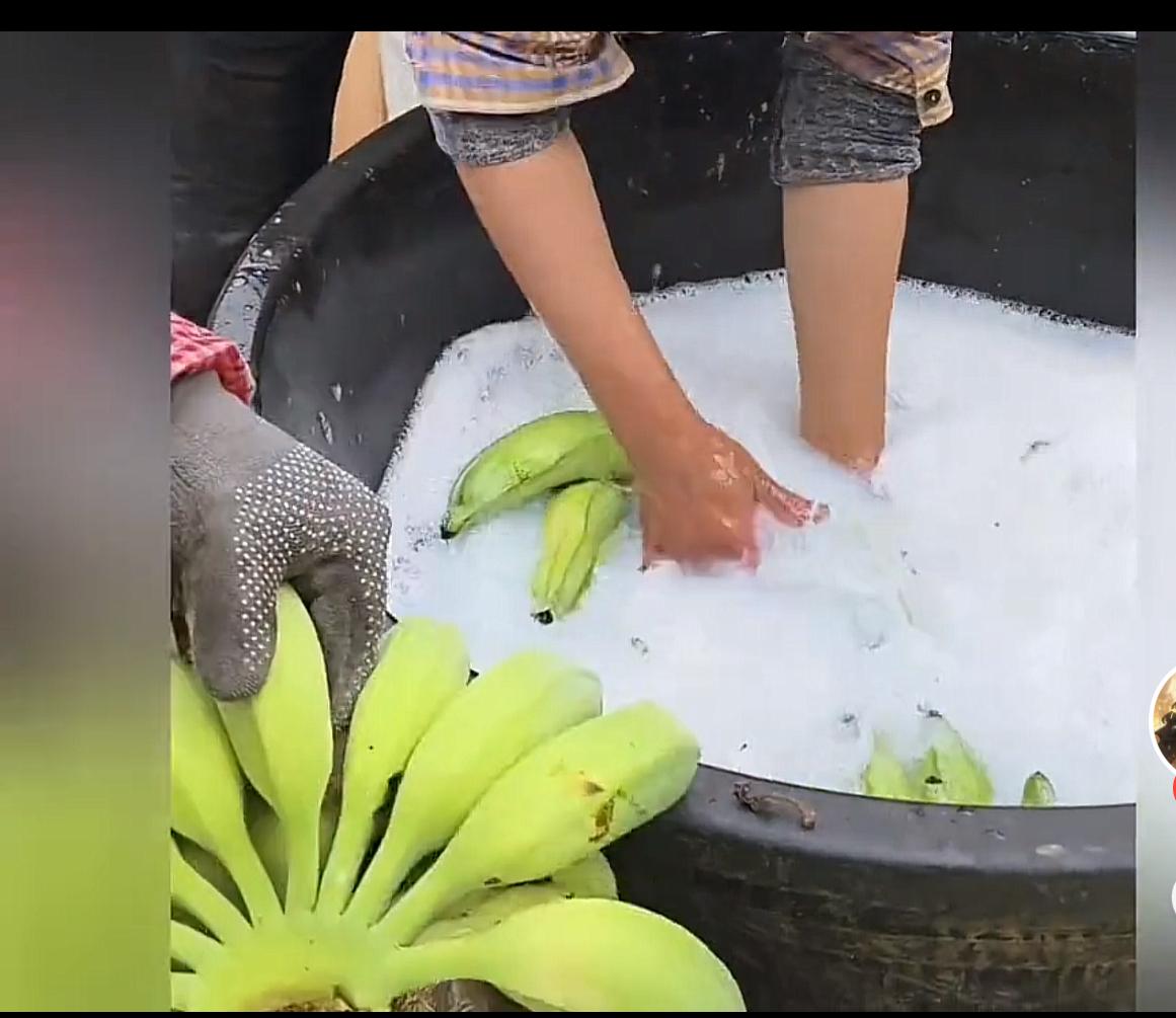 以前的水果都是要至少七八成熟，因为这样口感才会得到大多数消费者的认可。那时候也没