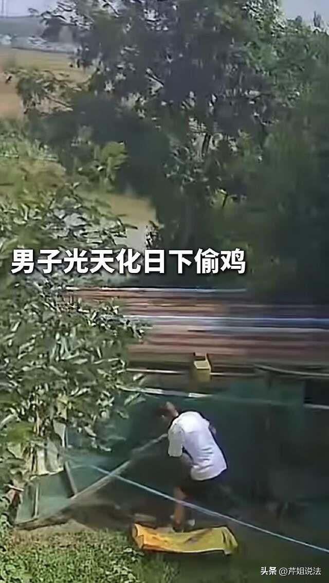 安徽舒城，男子光天化日之下偷鸡，被民警抓到的时候，一只鸡已经端上餐桌了，再晚来一