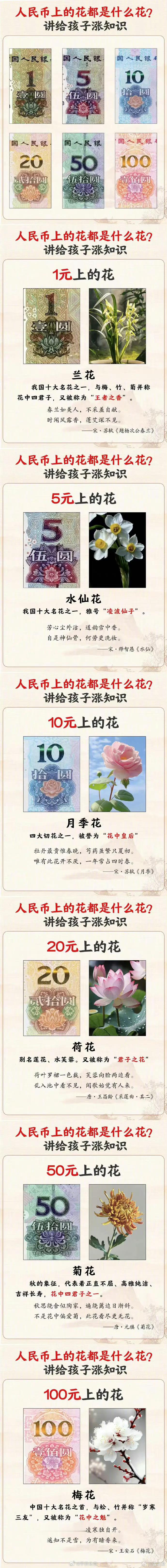 人民币上的花，涨知识了#人民币# ​​​