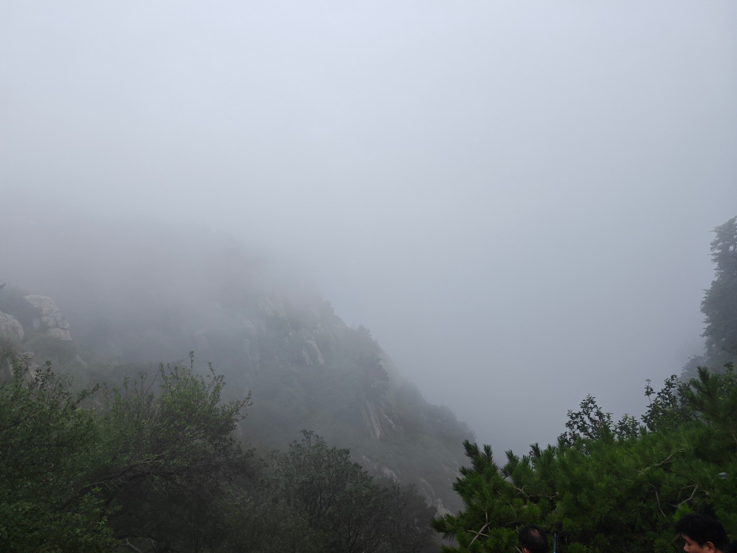 五天爬完五岳 只登顶过一次泰山[委屈]用了六个小时终于爬到了山顶下来腿已经不是自