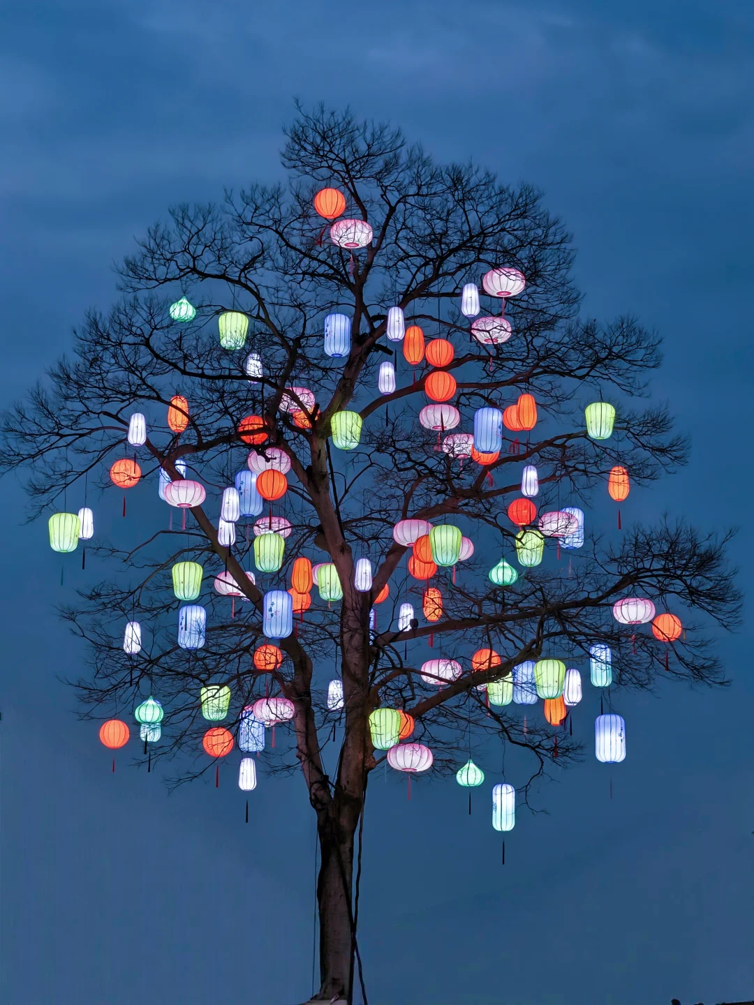 此刻，“东风夜放花千树”具象化了